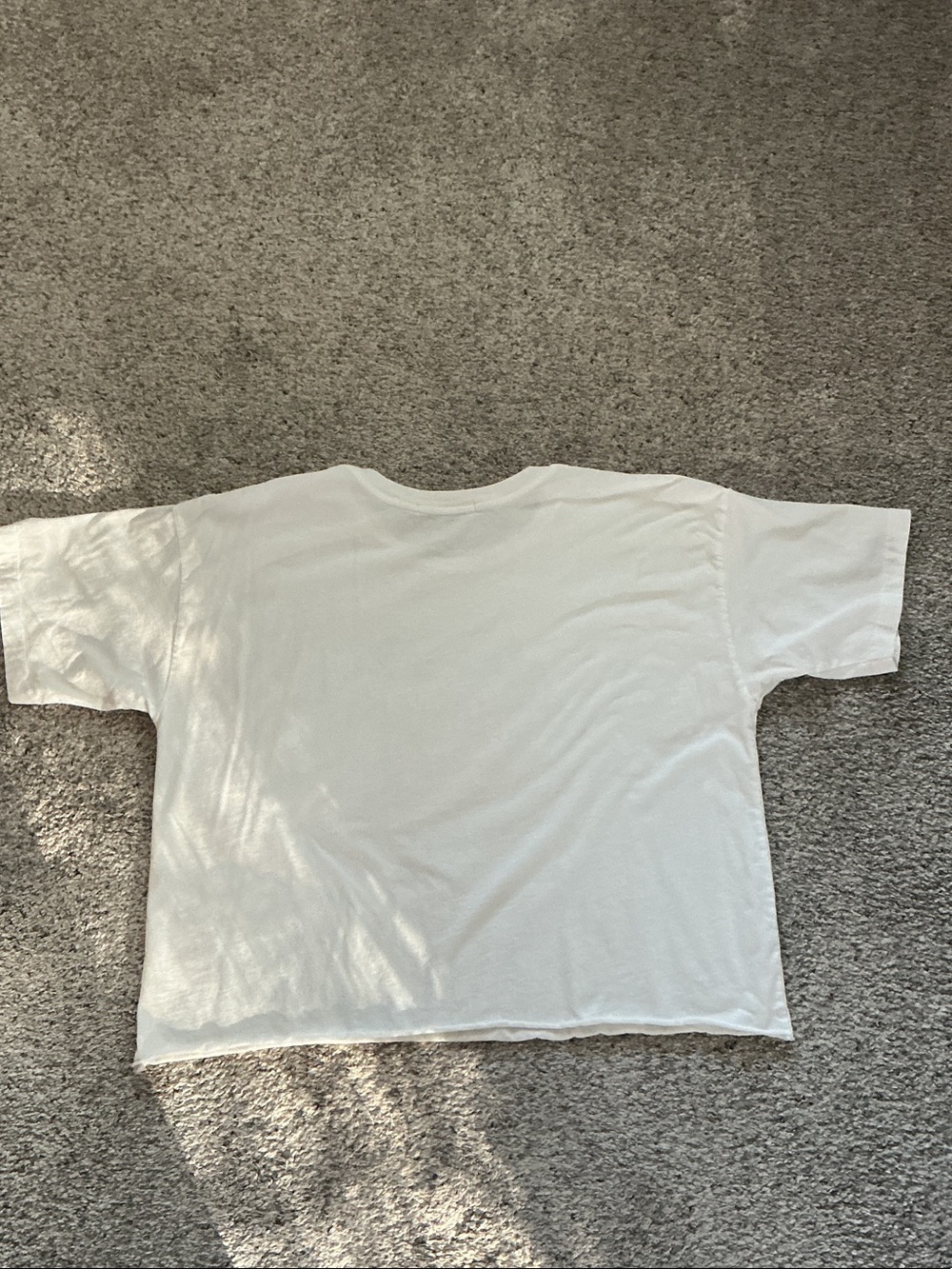 Daydreamer Beastie Boys Graphic Tee ~ White - Picture 7 of 7
